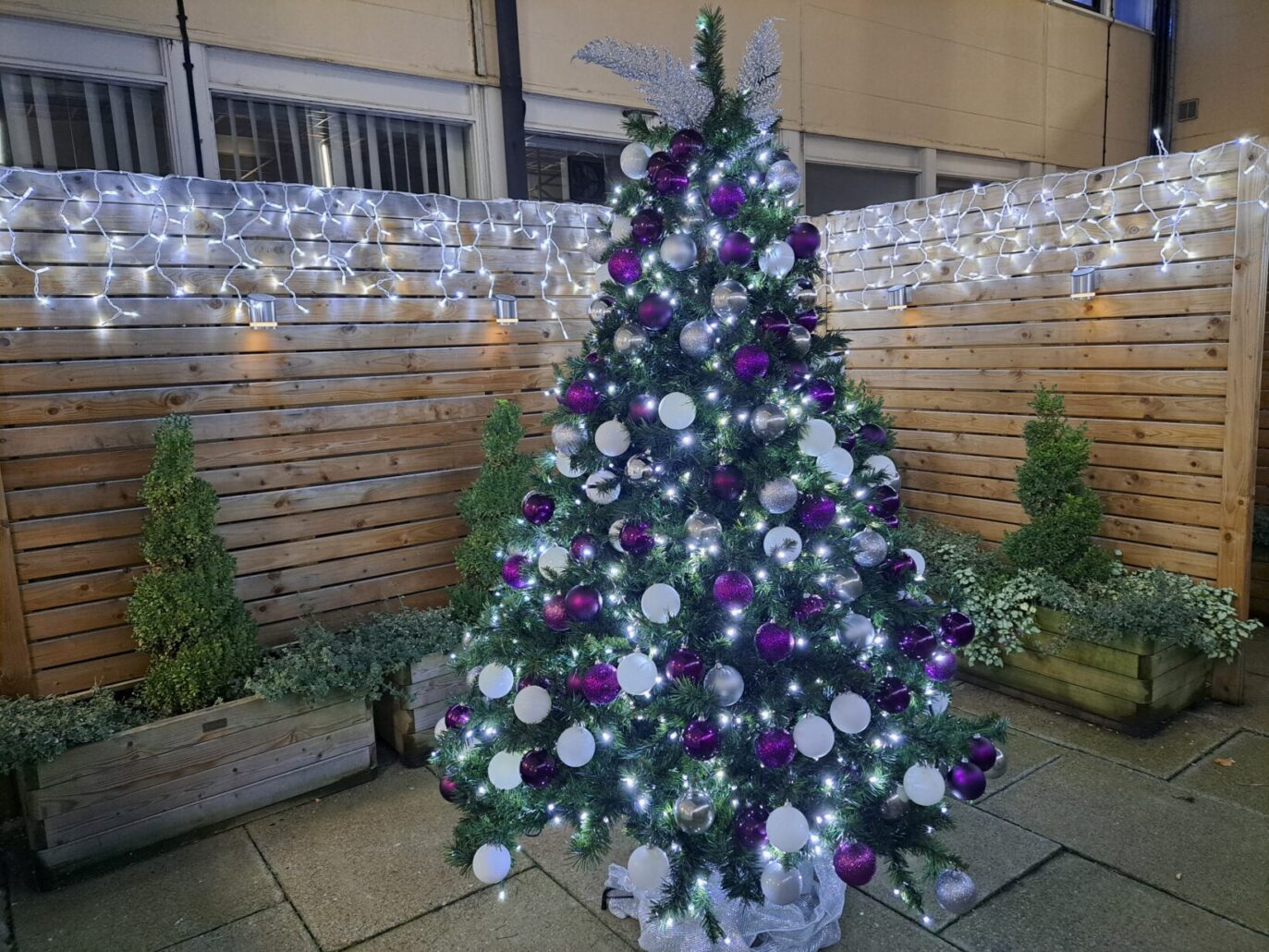 Please note this is an example of where the trees will be displayed. Our Light Up Leighton trees will be real trees with beautiful twinkling lights