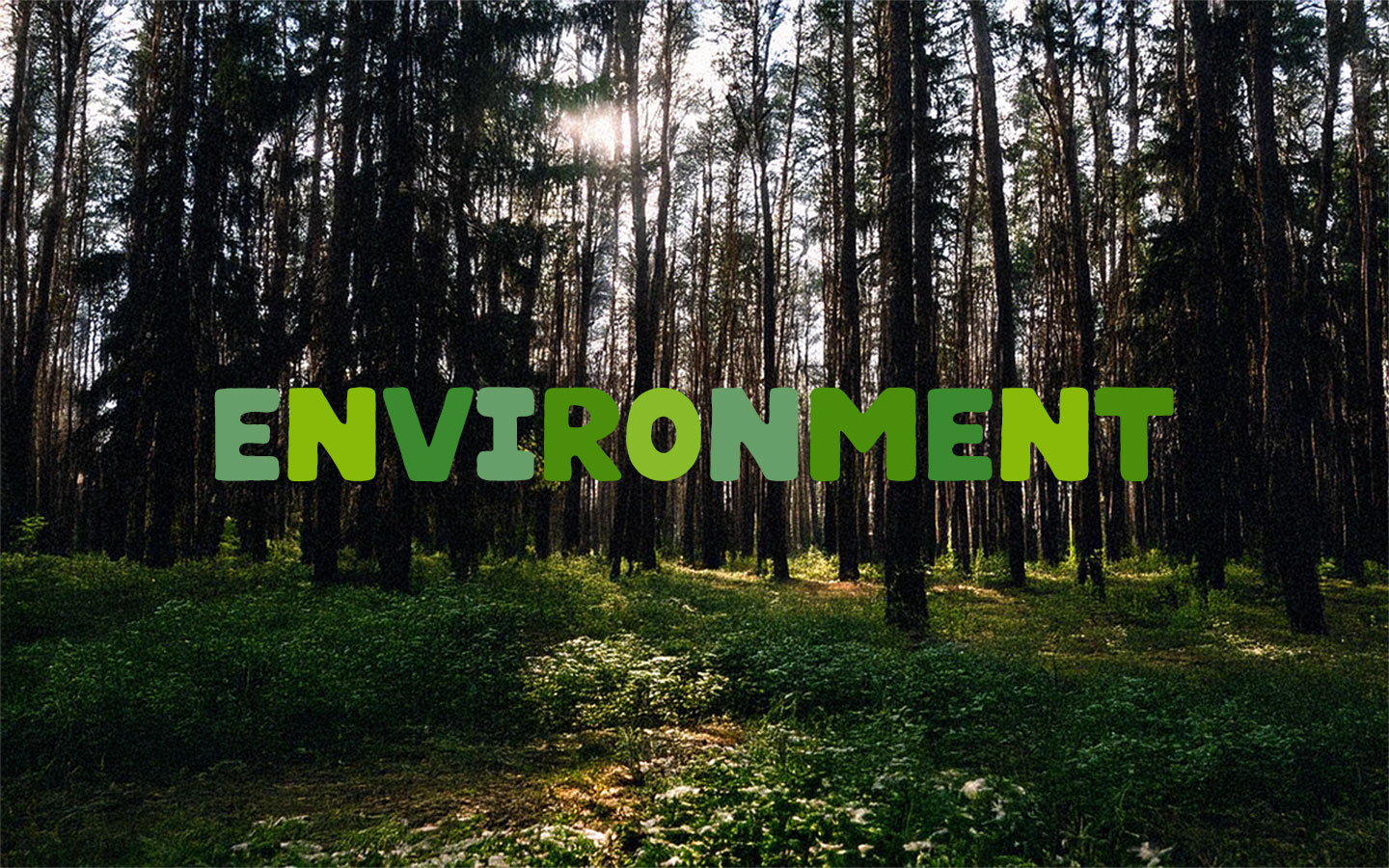 Environment
