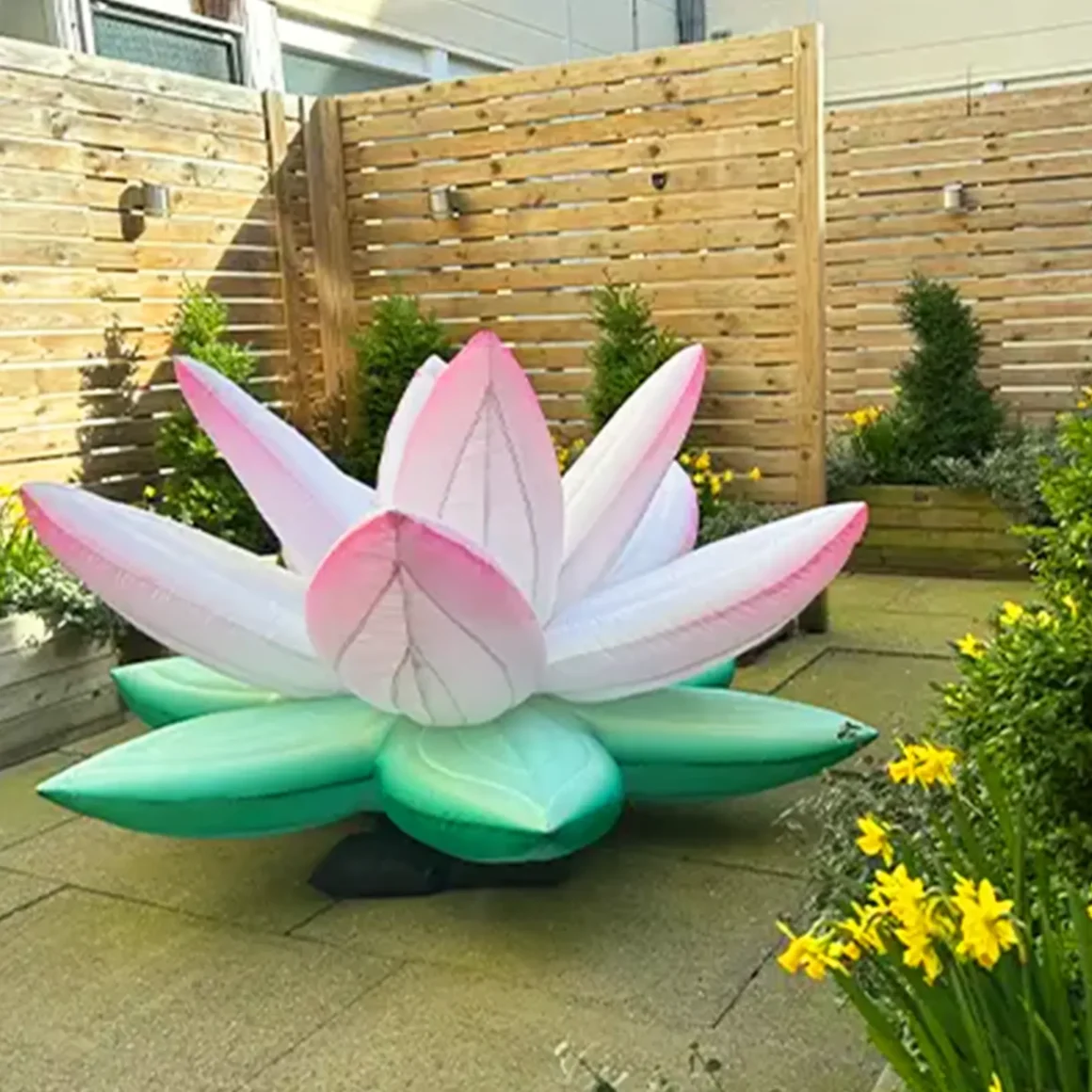 Reflections on nature