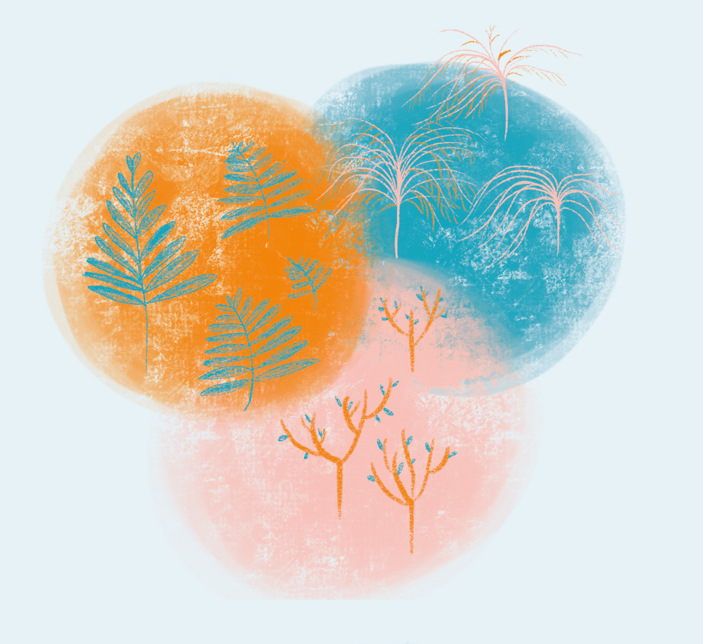 Blue background with 3 pastel coloured circles crossing over depicting flora and fauna, hand draw feels calm