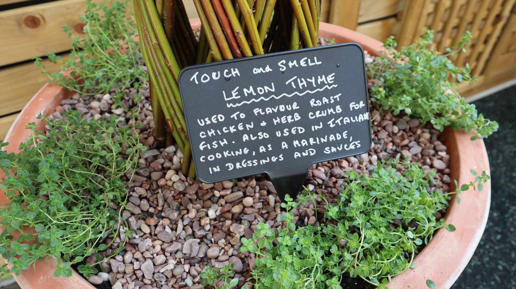 IMG_0765 Patients are encouraged to touch and smell plants within the garden