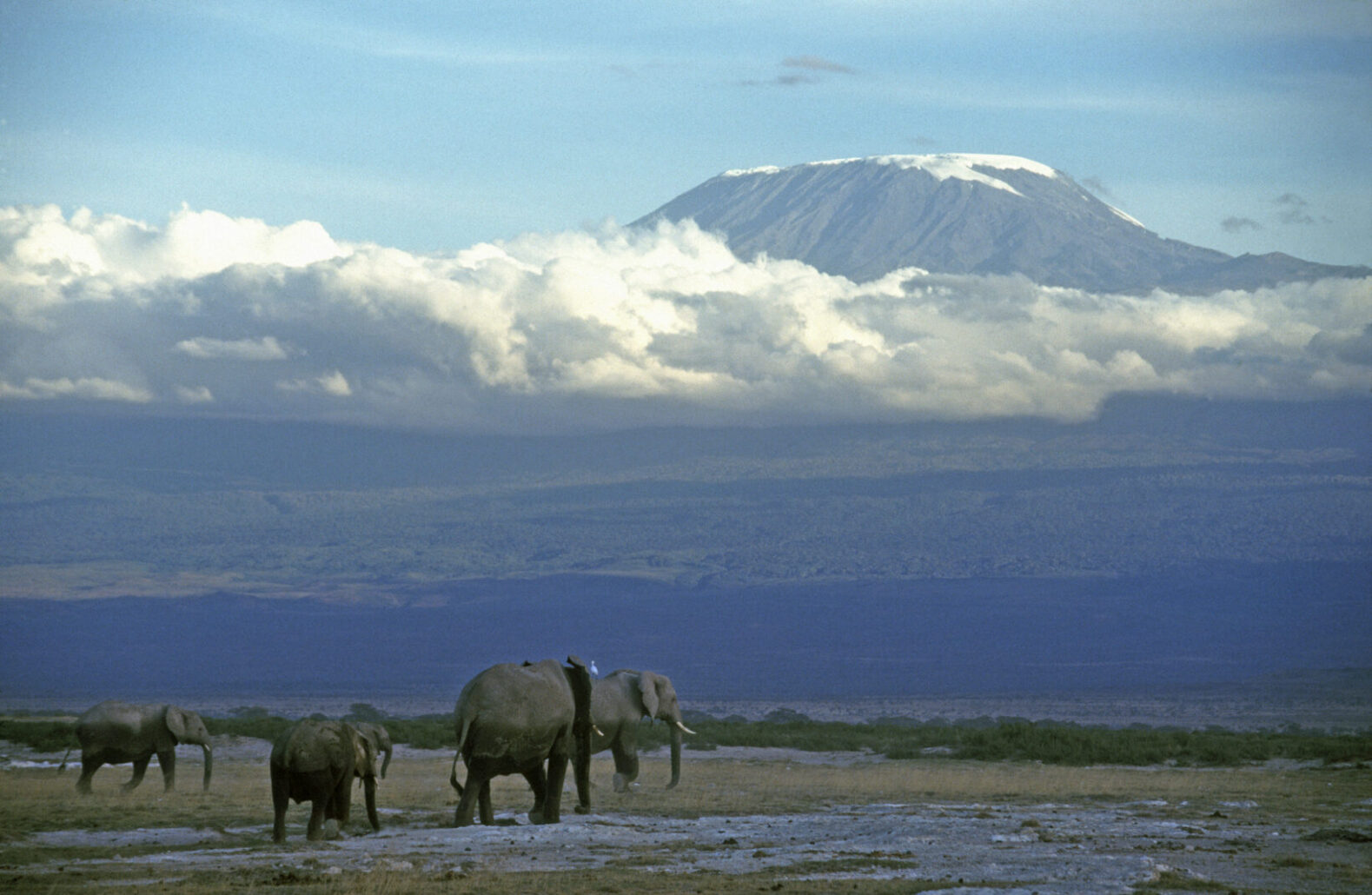 Kilimanjaro Trek